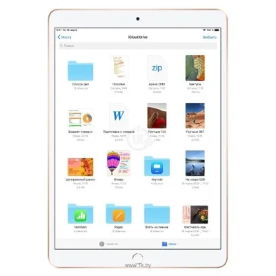 Apple iPad Air (2019) 256Gb Wi-Fi