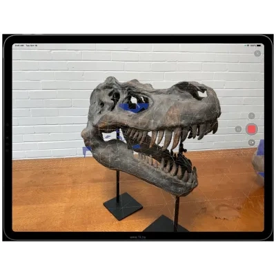 Apple iPad Pro 12.9 (2022) 512GB