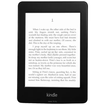 Amazon Kindle 6