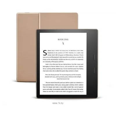 Amazon Kindle Oasis 2019 32 Gb