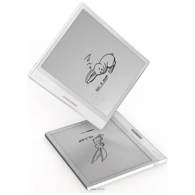 ONYX BOOX Leaf 2