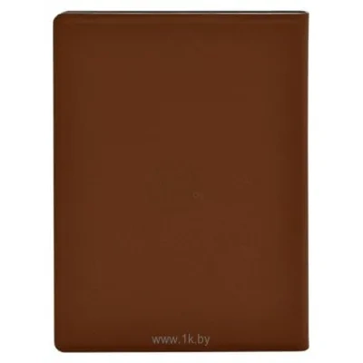 ONYX Onyx Boox Poke 2/Poke 3 (korichnevyiy)