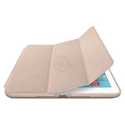 1CASE dlya iPad Air 2