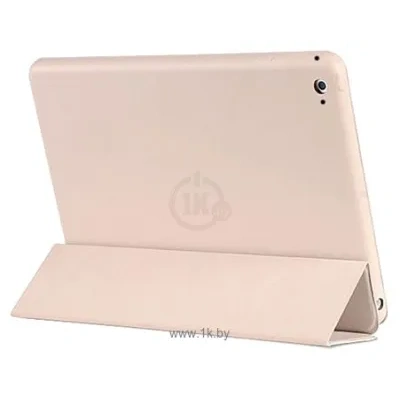 1CASE dlya iPad Air 2