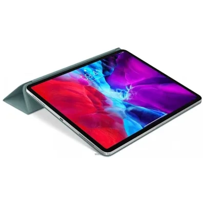 Apple Folio dlya iPad Pro 11 (dikiy kaktus)