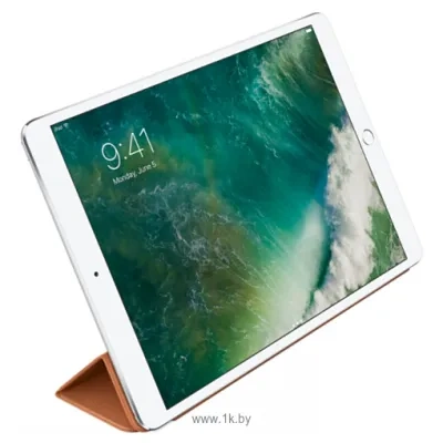 Apple Leather Smart Cover dlya iPad Air (zolotisto-korichnevyiy)