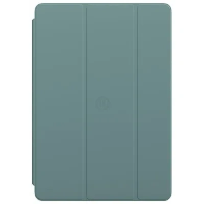 Apple Smart Cover dlya iPad mini (dikiy kaktus)